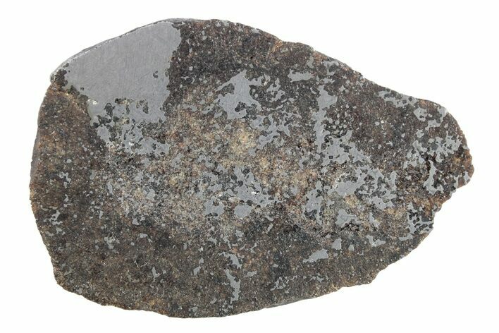 Meteorite ( g) Section - Rare Winonaite! #281345